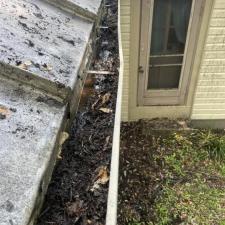 Gutter-Cleaning-and-more-in-Waterloo-Illinois 2