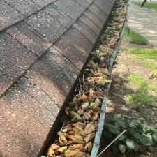 Gutter-Cleaning-in-Waterloo-Illinois-1 0