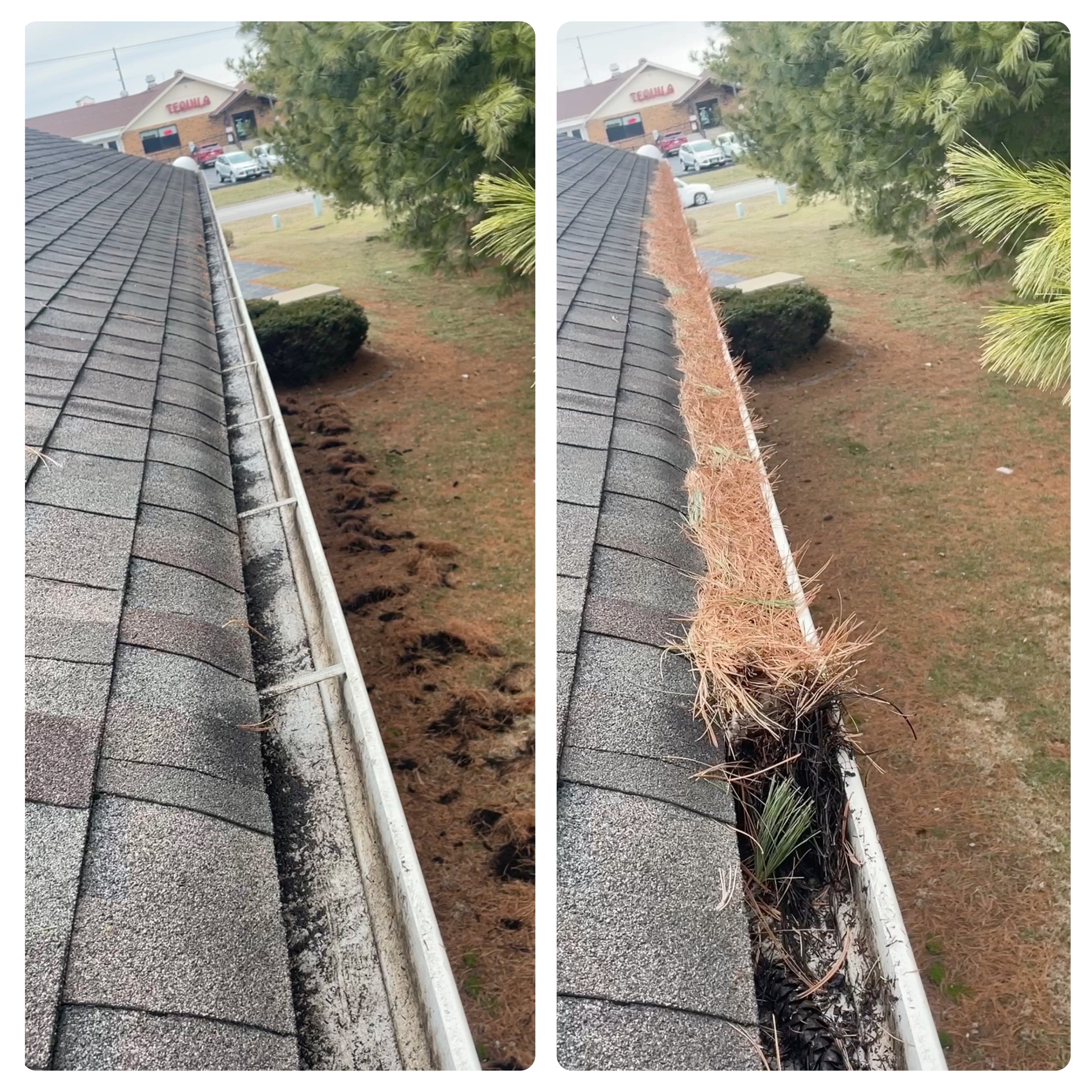 Professional-Gutter-Cleaning-completed-in-Waterloo-Illinois 2