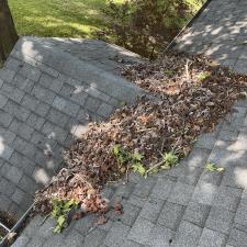 Roof-and-gutter-debris-cleaning-in-Belleville-IL 0