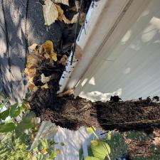 Roof-Debris-and-Gutter-Cleaning-in-Waterloo-IL 2