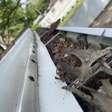 Single-Story-Gutter-Cleaning-in-Columbia-Illinois 2